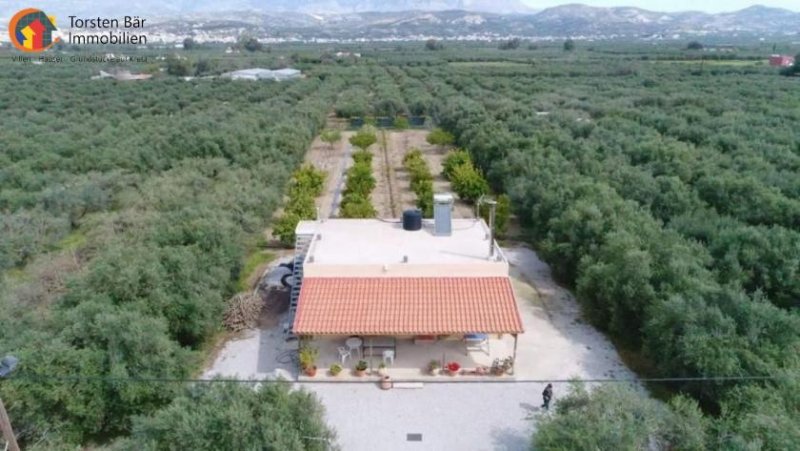 Mires - Pombia Süd Kreta, ruhiges EFH im Olivenhain Wfl.70qm Grdst. ca.5500qm Haus kaufen